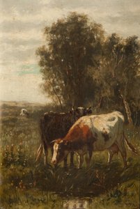 Deux vaches dans un paysage